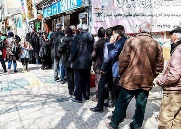 صف مرغ