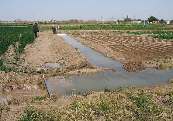 نمایی از زمین‌ کشاورزی