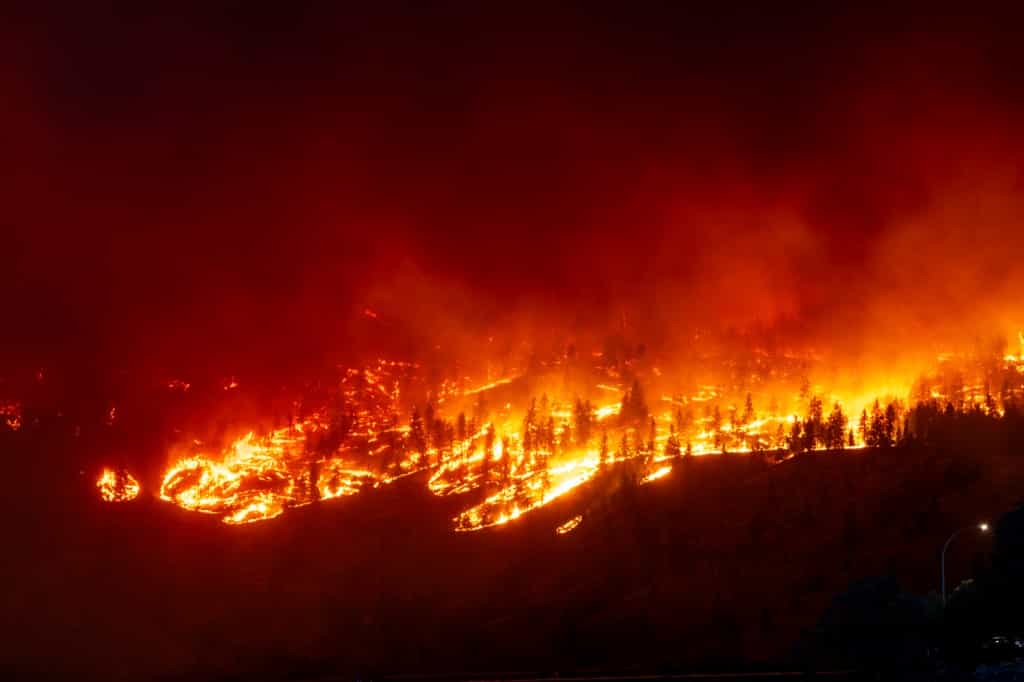 آتشسوزی نهر مکدوگال در تپههای کلونای غربی، بریتیش کلمبیا، کانادا اوت ۲۰۲۳(عکس از دارن هال / خبرگزاری فرانسه)