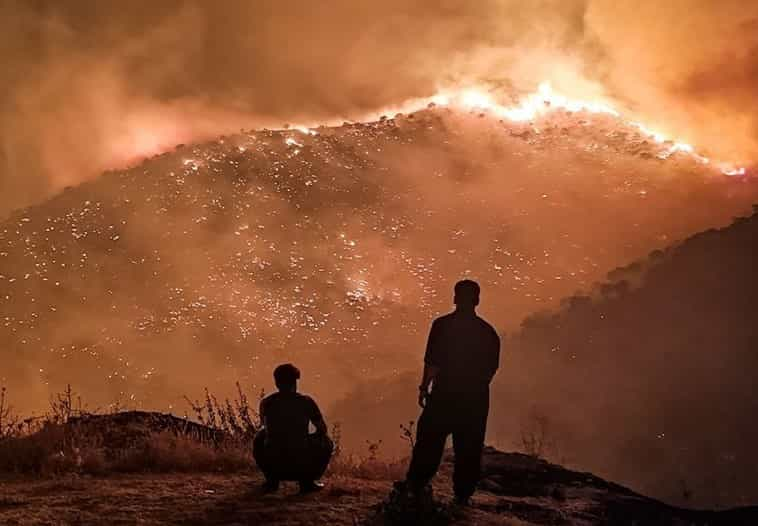 آتش سوزی در منطقه «سردره» پاوه