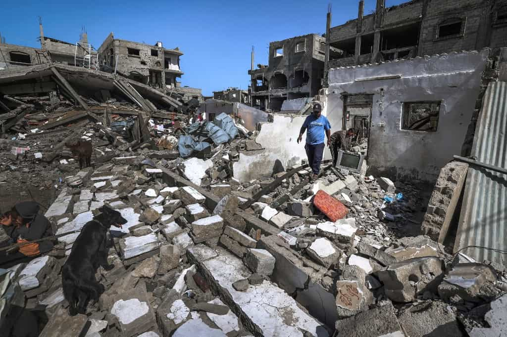 یک مرد فلسطینی و سگ خانواده‌اش در ۲۱ مارس ۲۰۲۴، در میان نبردهای جاری بین اسرائیل و گروه شبه‌نظامی حماس، بالای آوار خانه‌ای ویران شده در اردوگاه آوارگان رفح در جنوب نوار غزه قدم می‌زنند.