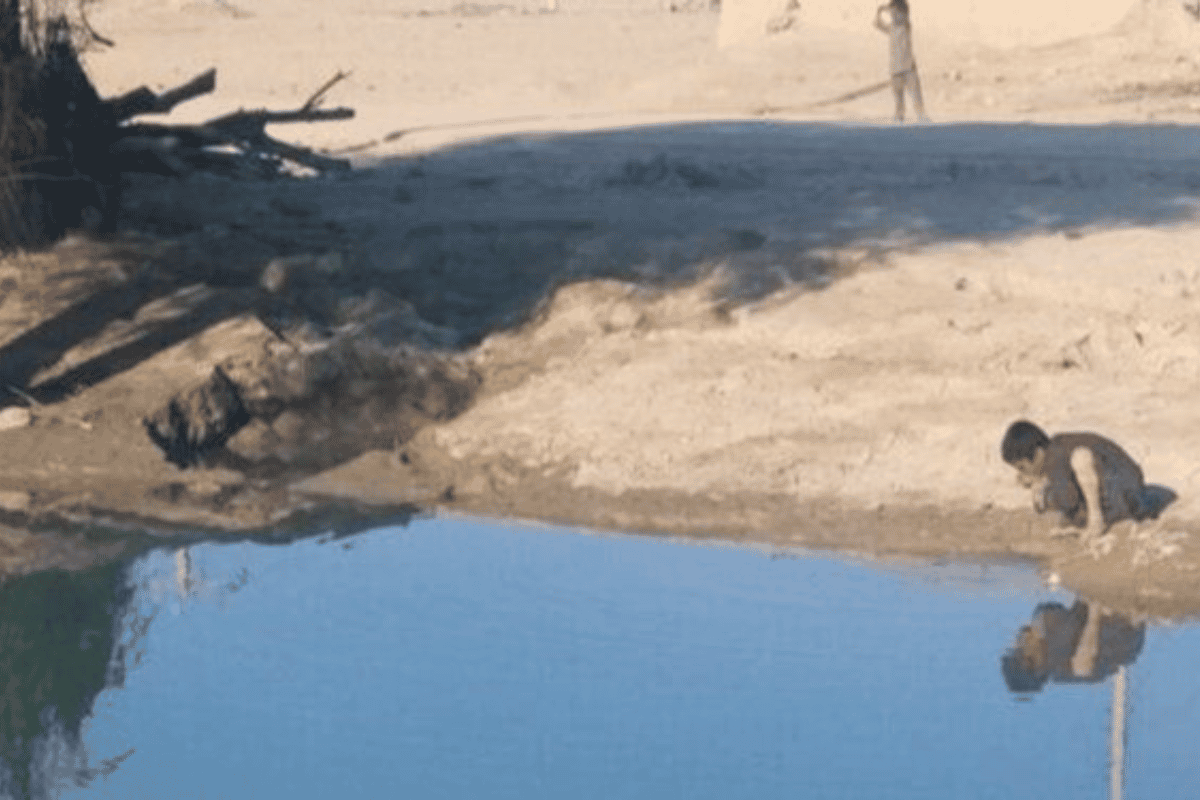 کودکی در کنار هوتک آب مینوشد