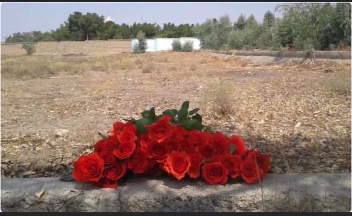 گورستان خاوران و یک دسته گل زر