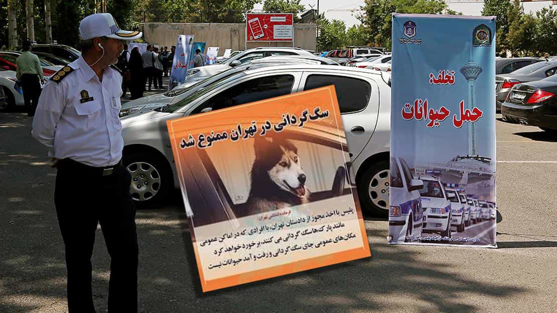 ممنوعیت «سگ‌گردانی» و کلا حمل حیوانات خانگی