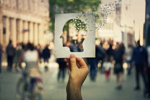 خرد
