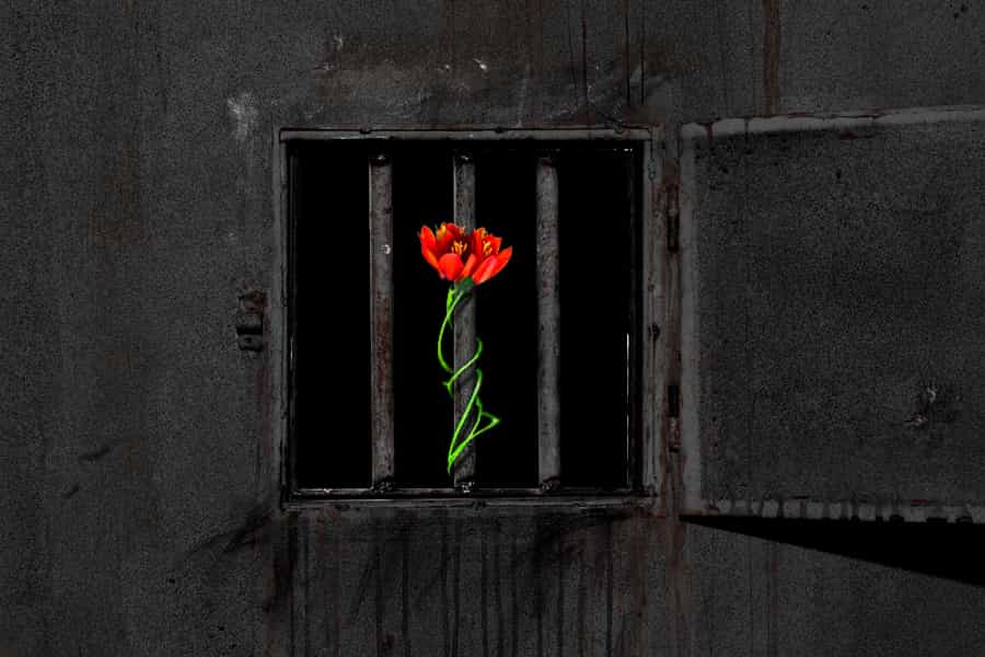 همزمان با تعطیل کردن زندان گوهردشت/ رجایی دشت این پرسش را باید مطرح کرد: ربط این مکان به حافظه جمعی و تاریخ مبارزه چیست و چرا حکومت می‌خواهد آن را نابود کند. طرح- زمانه