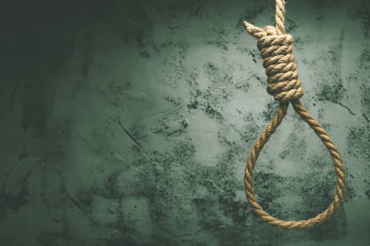 طناب دار در یک پس‌زمینه سبزرنگ