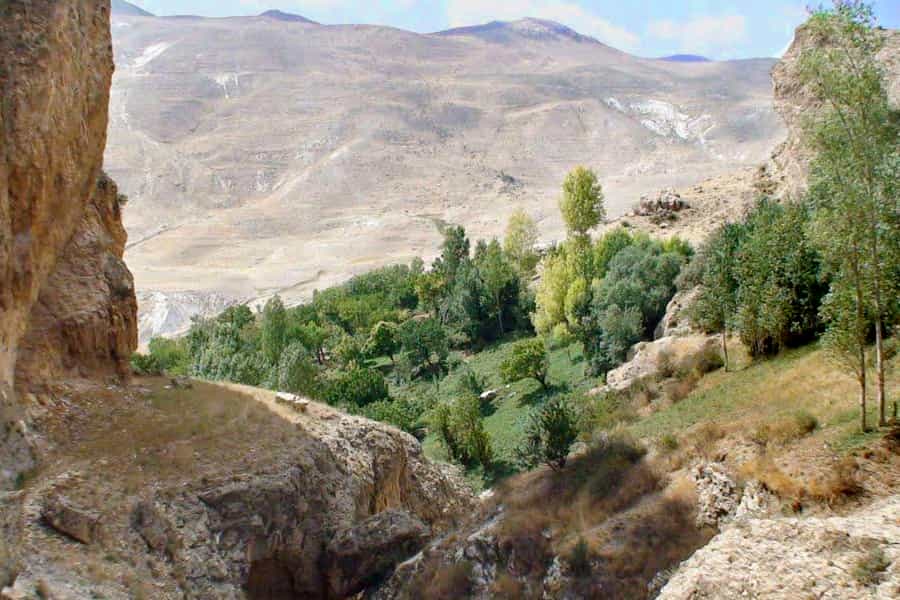 تصویری از منظره انگوران در میان کوهسار با درختانی در میان آن.