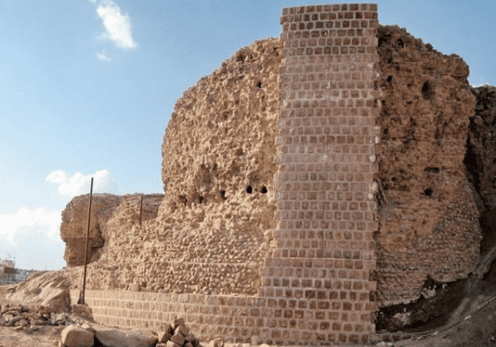 رَبع رشیدی یکی از بناهای تاریخی و ارزشمند شهر تبریز واقع در خیابان عباسی به سبک معماری ایرانی است. این محوطهٔ تاریخی در واقع دانشگاهی بود که توسط رشیدالدین فضل‌الله همدانی در حدود ۷۵۰ سال پیش در تبریز ایجاد شد. امروزه از این بنا آثار ناچیزی در تبریز باقی مانده است.