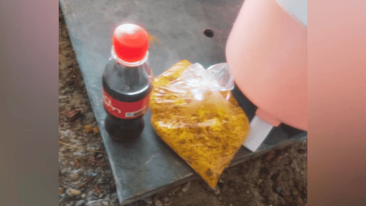 تصویری از یک کیسه پلاستیکی پر از غذا و یک نوشابه کوچک