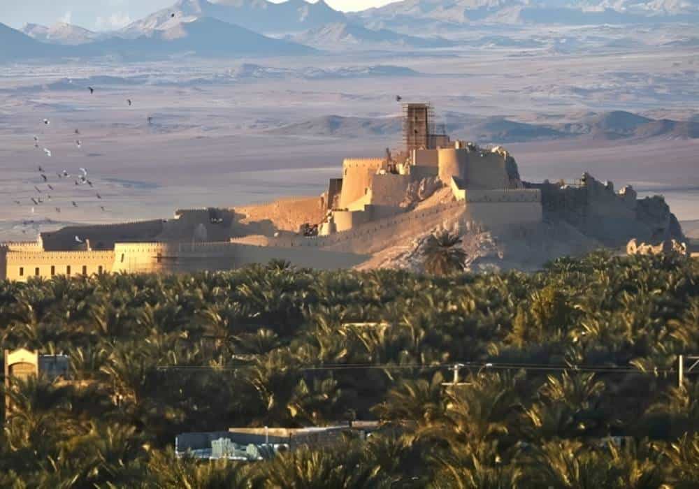 ارگ بم و نخلستانهایش