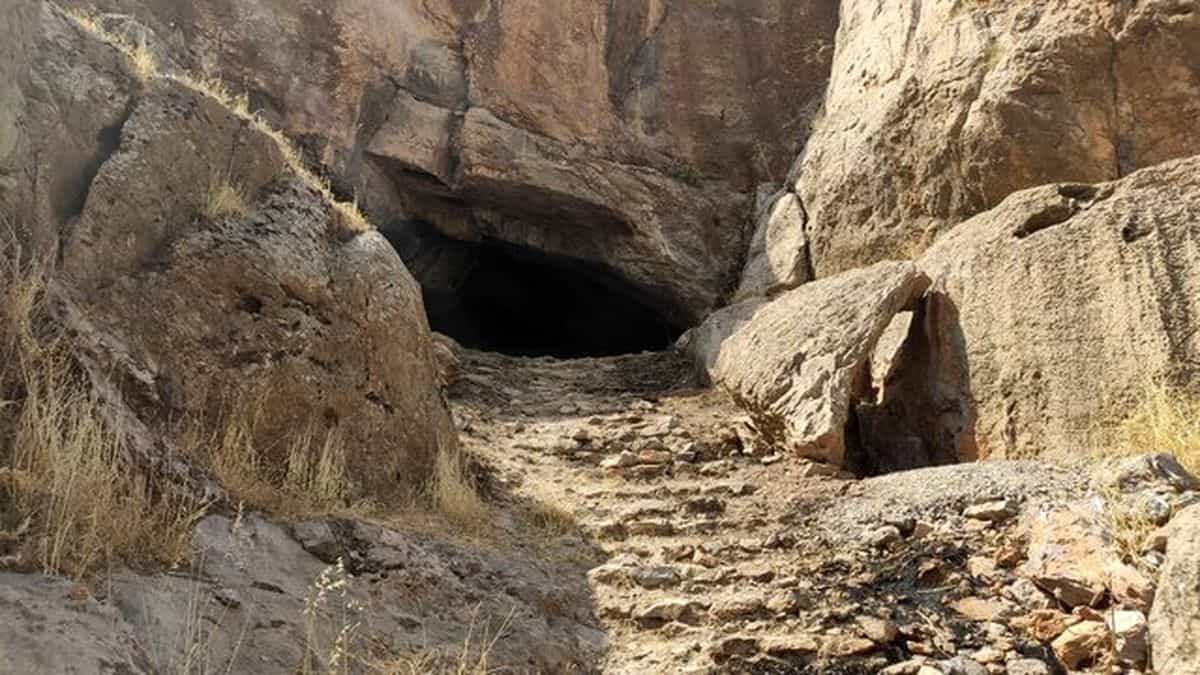 سکونت گاه زاگرس