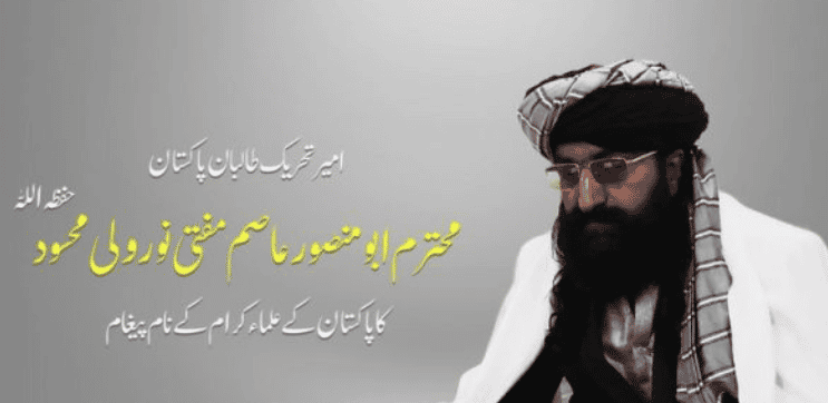 نور ولی محسود، رهبر «تحریک طالبان پاکستان»