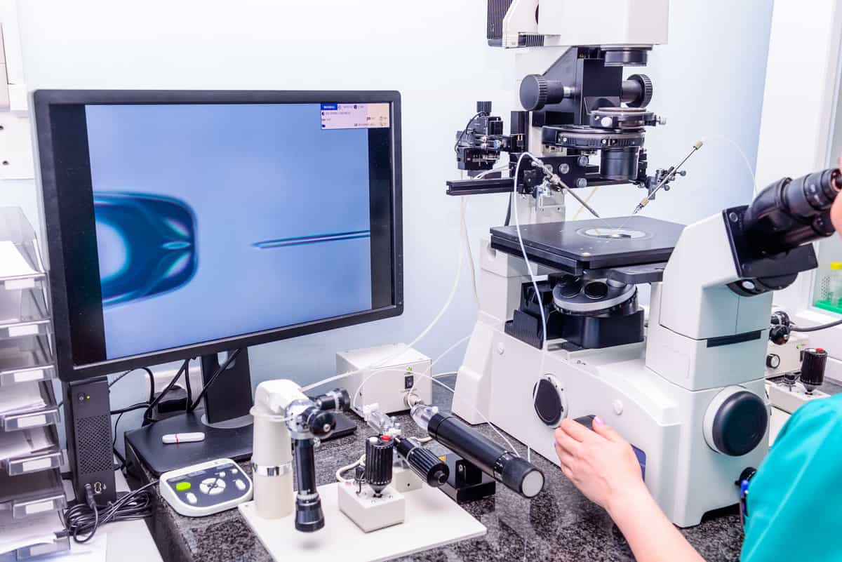 فرایند IVF ، شاتراستاک