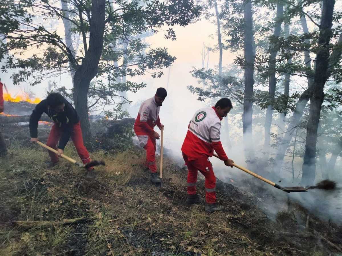 در تلاش برای مهار آتش، جنگل الیت چالوس از جنگل‌های هیرکانی، آبان ۱۴۰۳