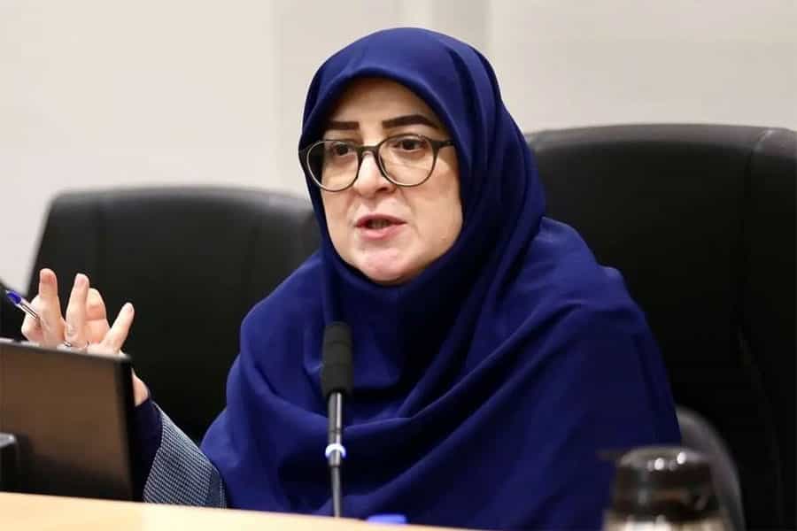 چهره فاطمه مهاجرانی، سخنگوی دولت