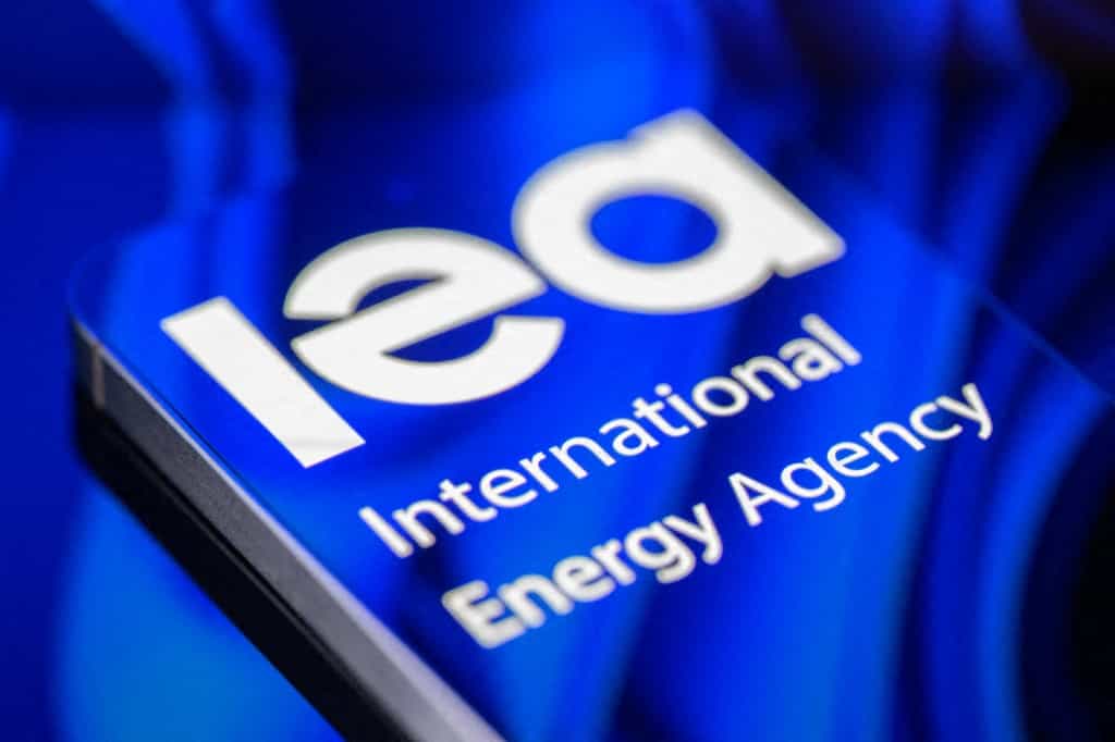 در تصویر لوگوی آژانس بین‌المللی انرژی (IEA) روی صفحه نمایش یک گوشی هوشمند نشان داده شده است.