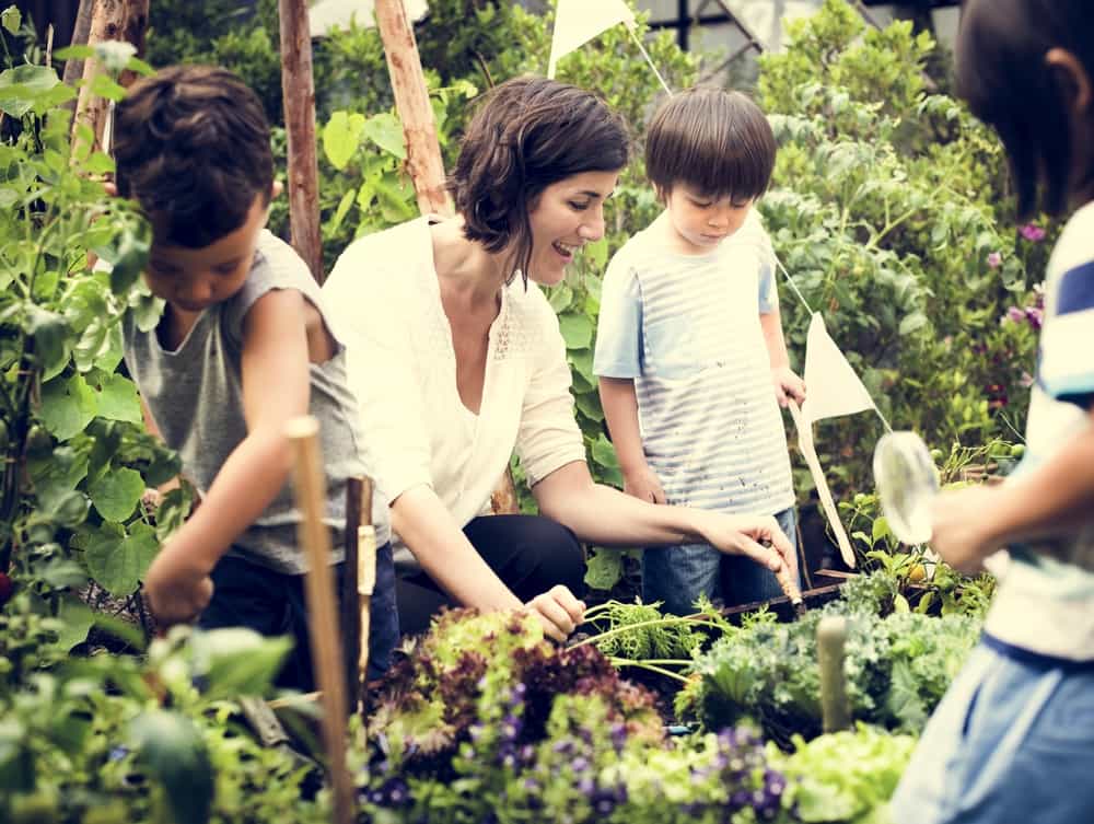 گروهی از کودکان با پیشینههای گوناگون در حال یادگیری در محیط مزرعه